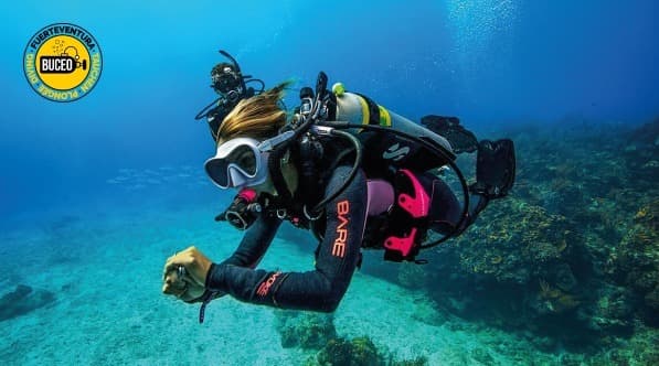 PADI Scuba Diver